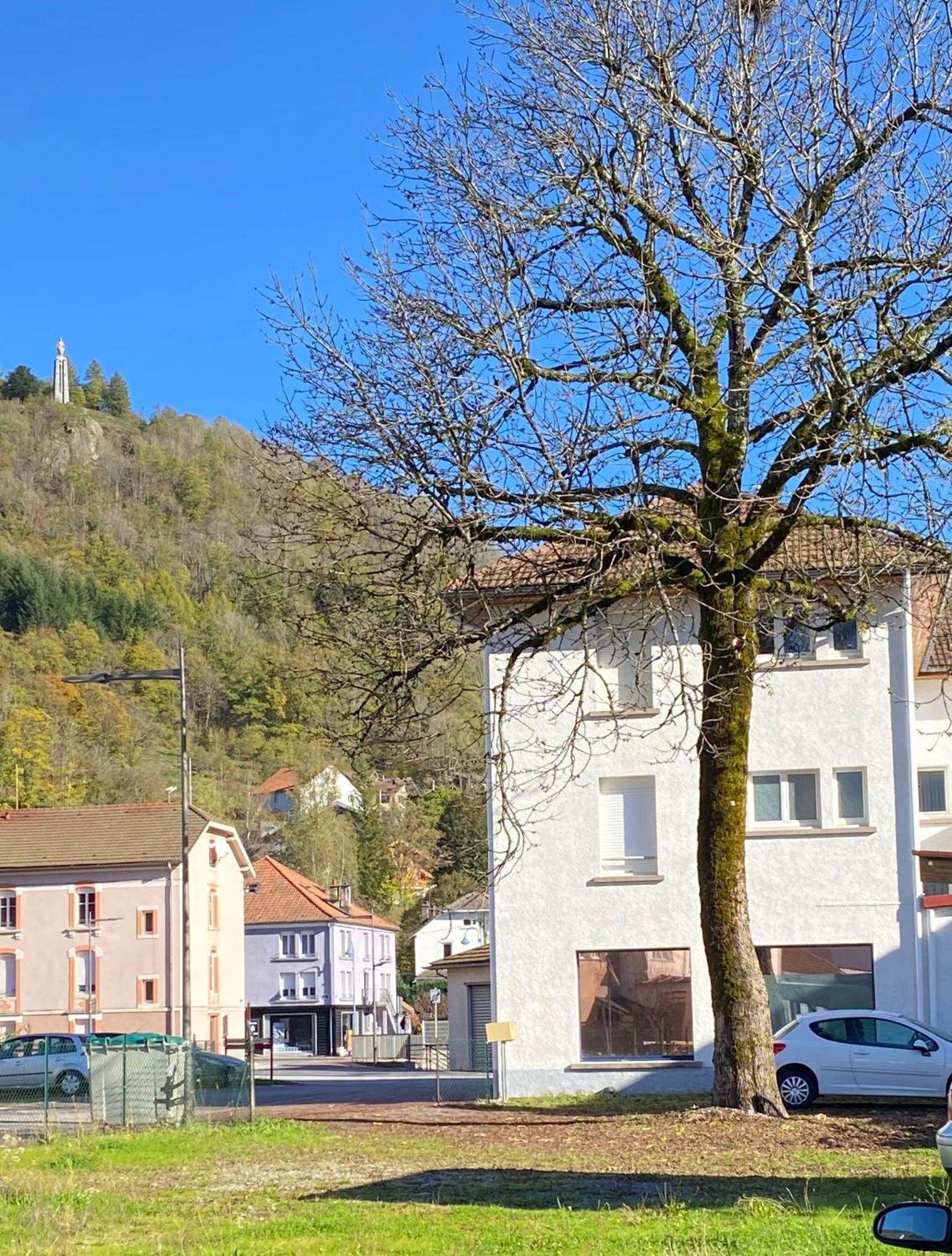 Ferienwohnung Grand'Roche Cornimont Exterior foto